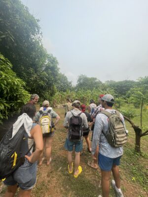 Vanderbilt students walking through jungle vegetation.