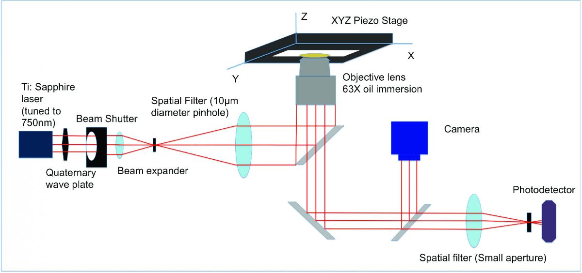 Implementation of Two-Photon Lithography for Fabrication of Three ...